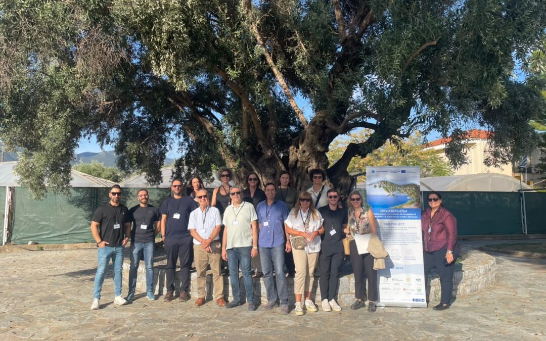 OliveOilMedNet celebrates its results at the Final Project Meeting in Kalamata, Peloponnese