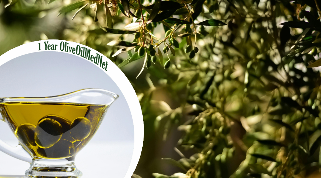 One Year of Advancing Quality, Authenticity, and Sustainability in the Mediterranean